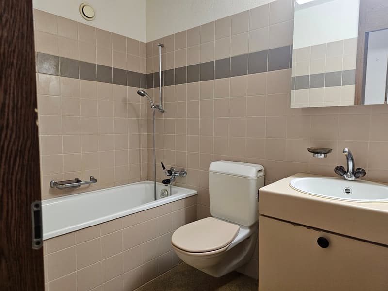 Appartement pratique pour célibataires ou couples! (6)