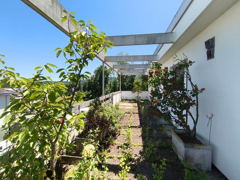 Covered outdoor area with concrete beams, lush greenery including trees and shrubs, and a paved walkway leading through the space.