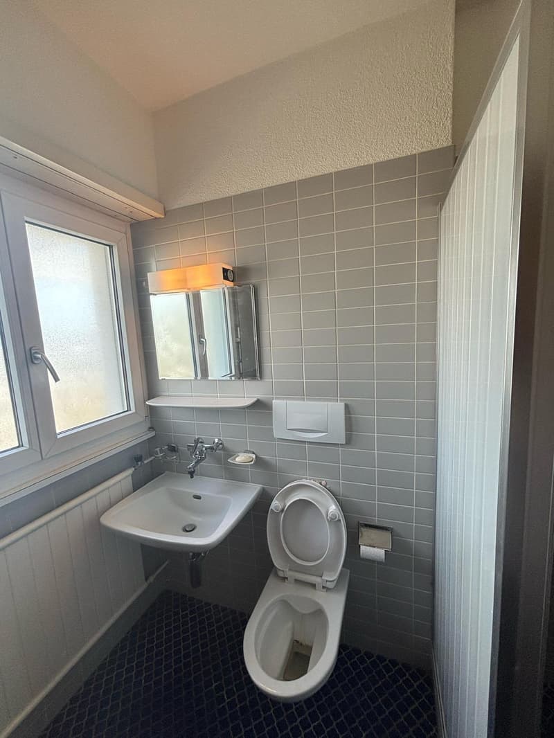 The image shows a bathroom with gray tile walls, a sink with a mirror above it, and a toilet. The floor is covered with a dark patterned tile. The bathroom appears to be well-lit with a light fixture above the sink.