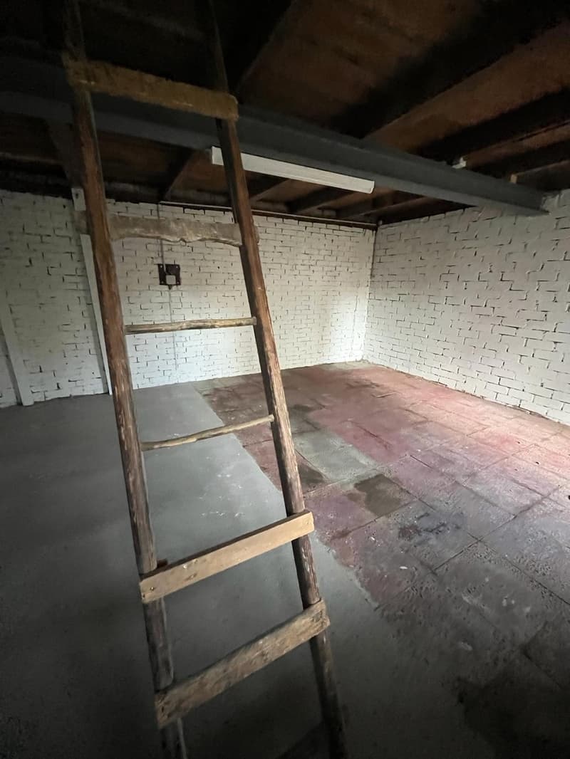 Unfinished basement or storage room with exposed brick walls, wooden beams, and a wooden ladder leaning against the wall.
