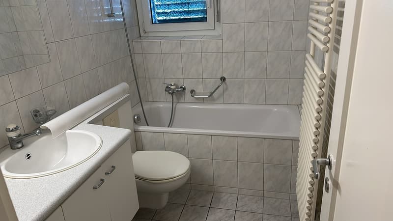 The image shows a bathroom with gray tile walls and floor, a bathtub, a toilet, a vanity with a sink, and a towel warmer. The bathroom appears to be well-lit with a window providing natural light.
