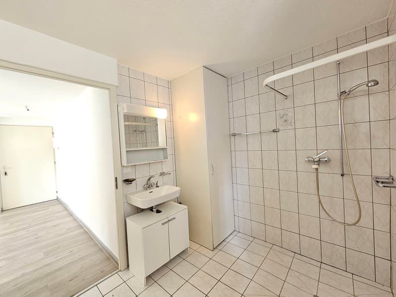 Tiled bathroom with a sink, vanity cabinet, and a walk-in shower with a glass door