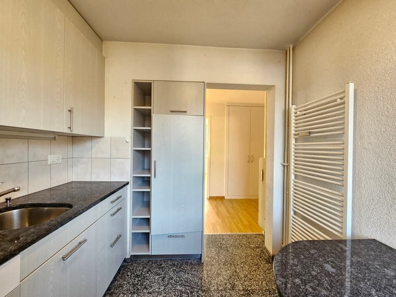 Kitchen, sink, counter, cabinets, shelves, white cabinets, wooden floors