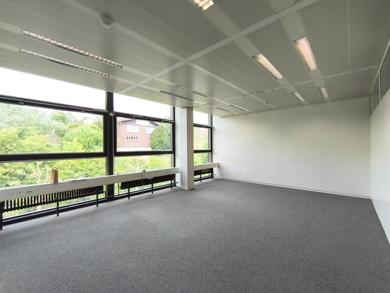 Espaces commerciaux modernes à Gretzenbach - sans obstacle et bien équipés (7)