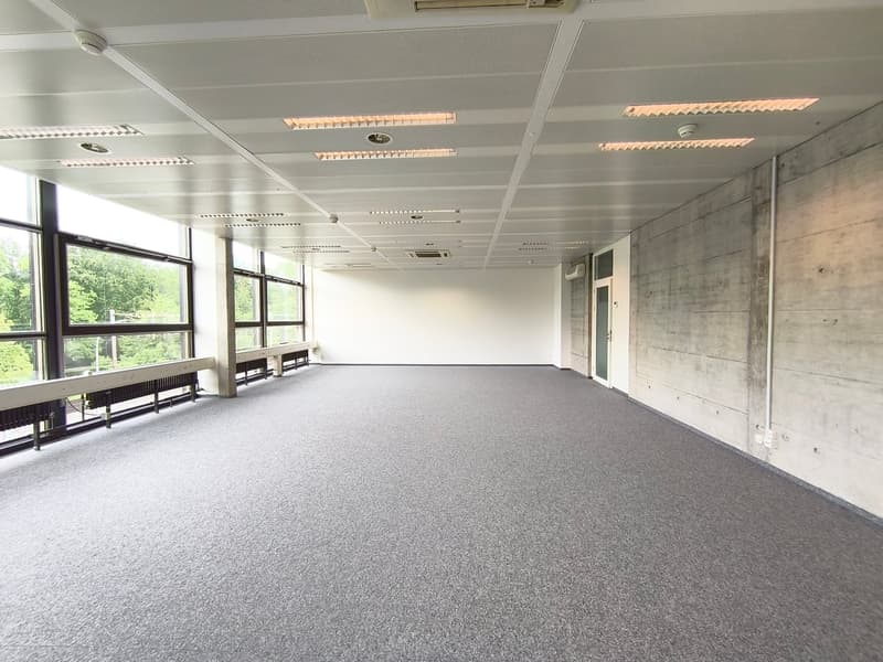 Modern & bright commercial spaces in Gretzenbach - Everything is possible! (8)