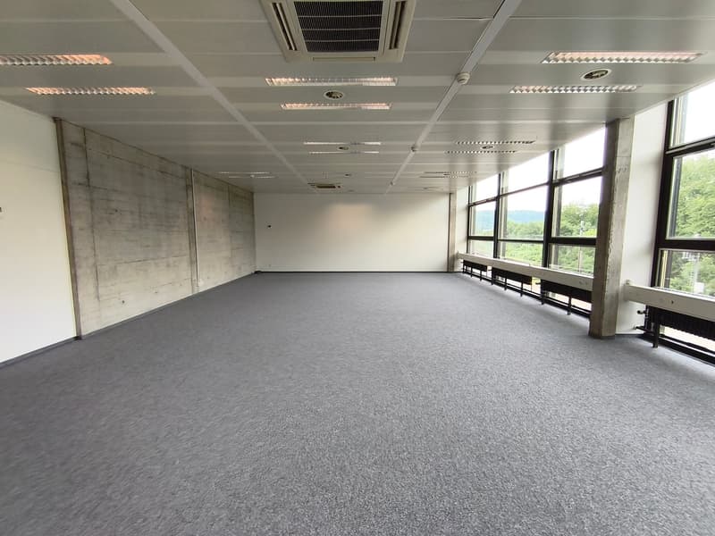 Modern & bright commercial spaces in Gretzenbach - Everything is possible! (9)
