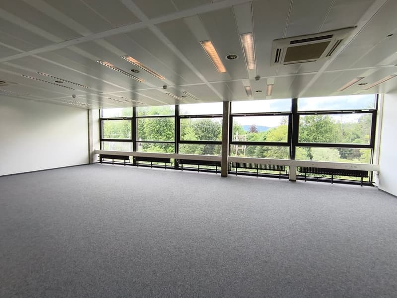Modern & bright commercial spaces in Gretzenbach - Everything is possible! (7)