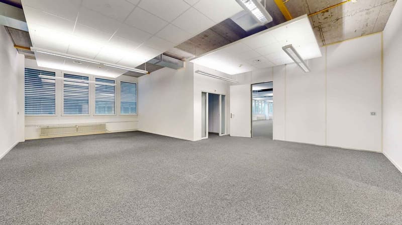 Office space, grey carpet, multiple large windows, air radiators