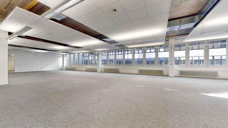 empty room, white walls, white ceiling, large windows, fluorescent lights