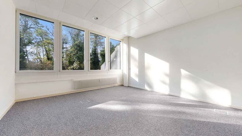 empty room, large windows, beige carpet, radiators, trees in view