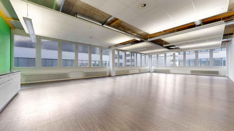 empty room, hardwood floor, multiple windows, heating radiators