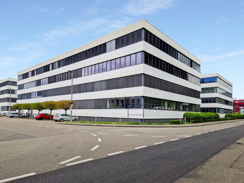 Large white building with multiple floors and windows, cars parked in front, greenery around the building, street with road markings