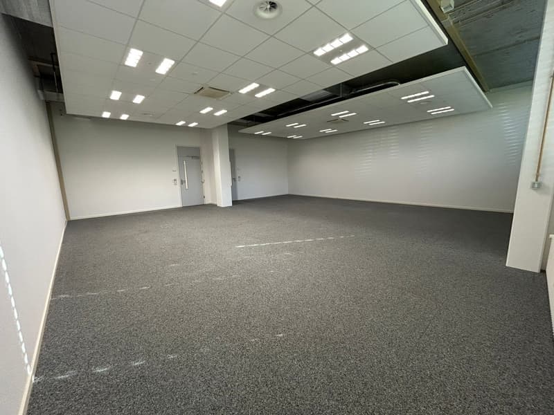 open space, carpeted floor, white walls, doors at far end, square shaped ceiling panels