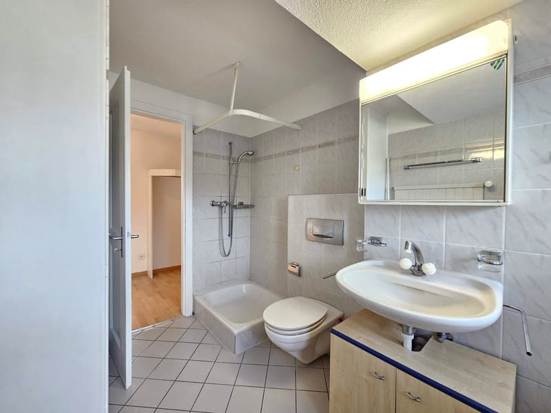 Tiled floor, shower area, toilet, sink, mirror, wooden cabinet