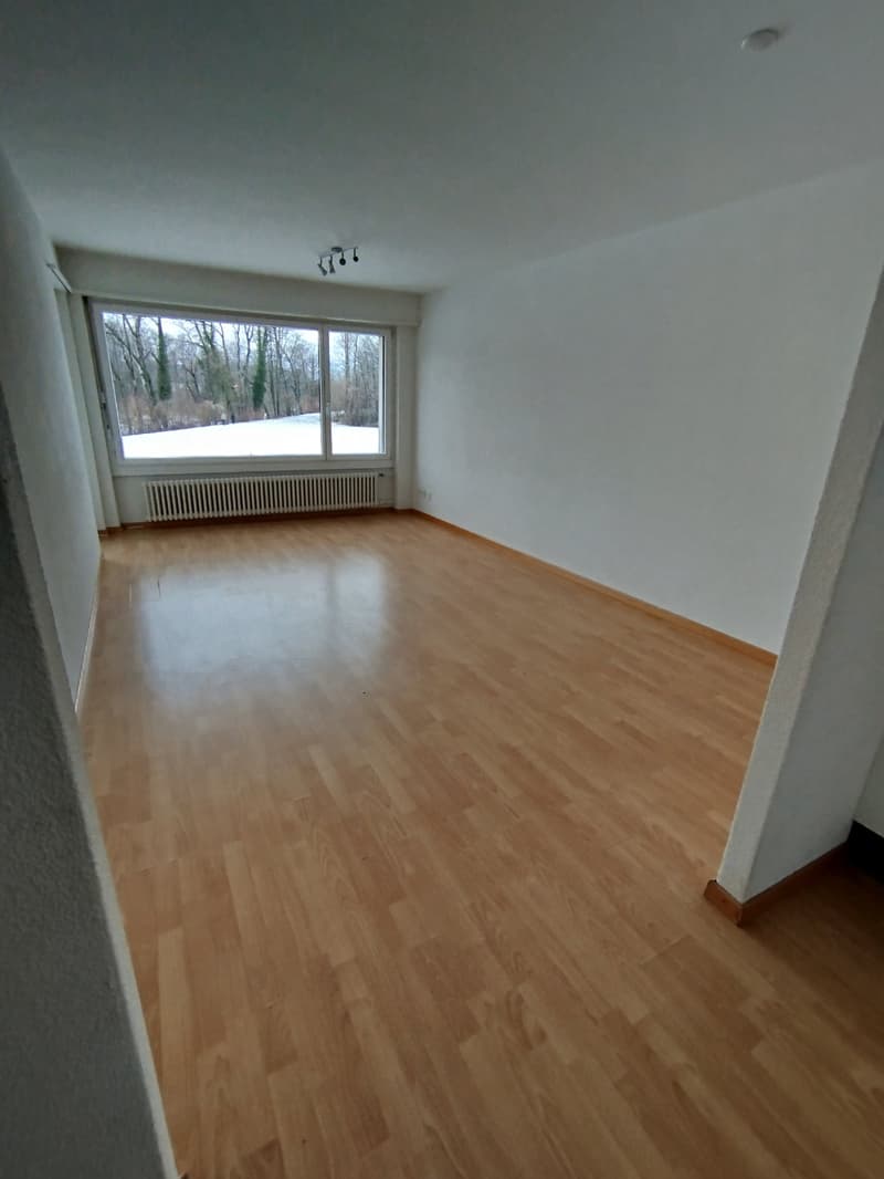 Empty room, white walls, wooden floor, large window with outside view