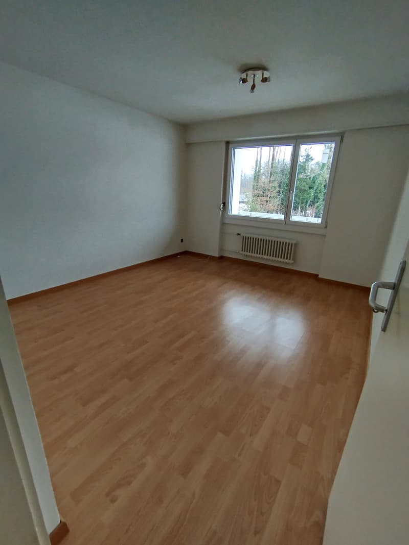 empty room, hardwood floor, white walls, large window, radiator, light fixture