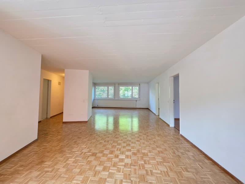 Charming 4.5-room apartment at Lindenplatz in Schaffhausen (6)