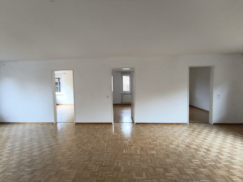 Charming 4.5-room apartment at Lindenplatz in Schaffhausen (13)