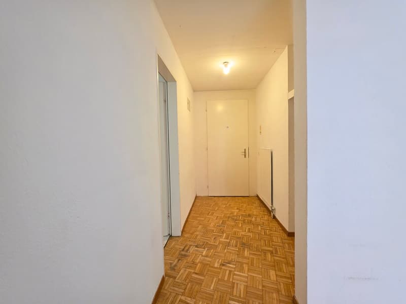 Charming 4.5-room apartment at Lindenplatz in Schaffhausen (12)