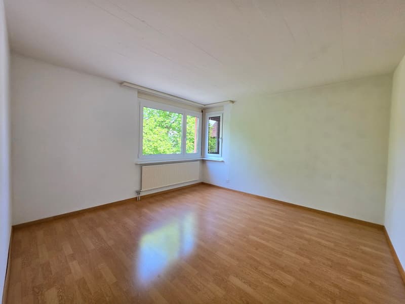 Charming 4.5-room apartment at Lindenplatz in Schaffhausen (10)