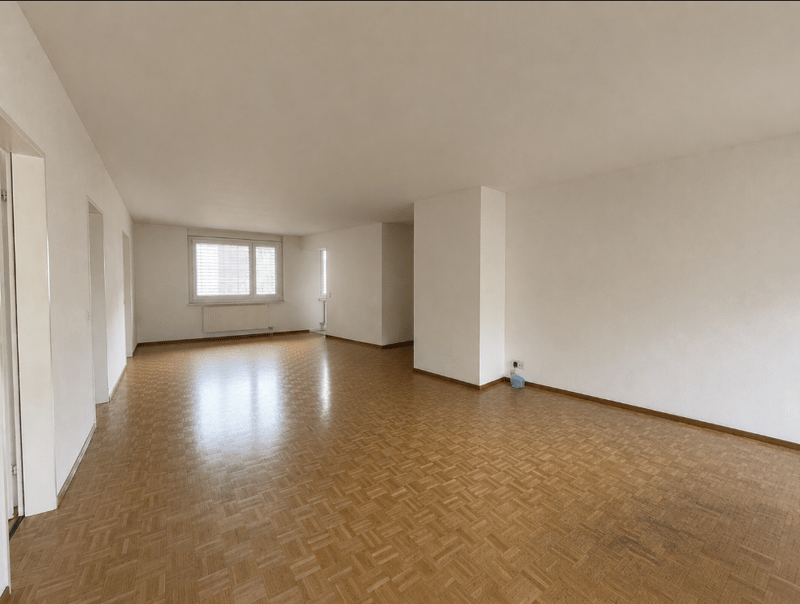 Charmant appartement 4.5 pièces sur la place Lindenplatz à Schaffhausen (7)