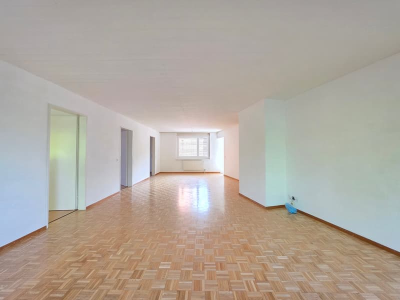 Charming 4.5-room apartment at Lindenplatz in Schaffhausen (11)