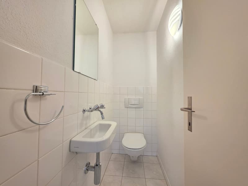 Charming 4.5-room apartment at Lindenplatz in Schaffhausen (5)