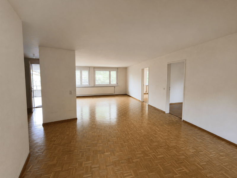 Charmant appartement 4.5 pièces sur la place Lindenplatz à Schaffhausen (6)