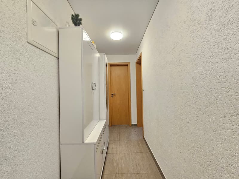 empty hallway, white walls, white ceiling, ceiling light, wooden floor, two white cabinets, two doors, potted plant