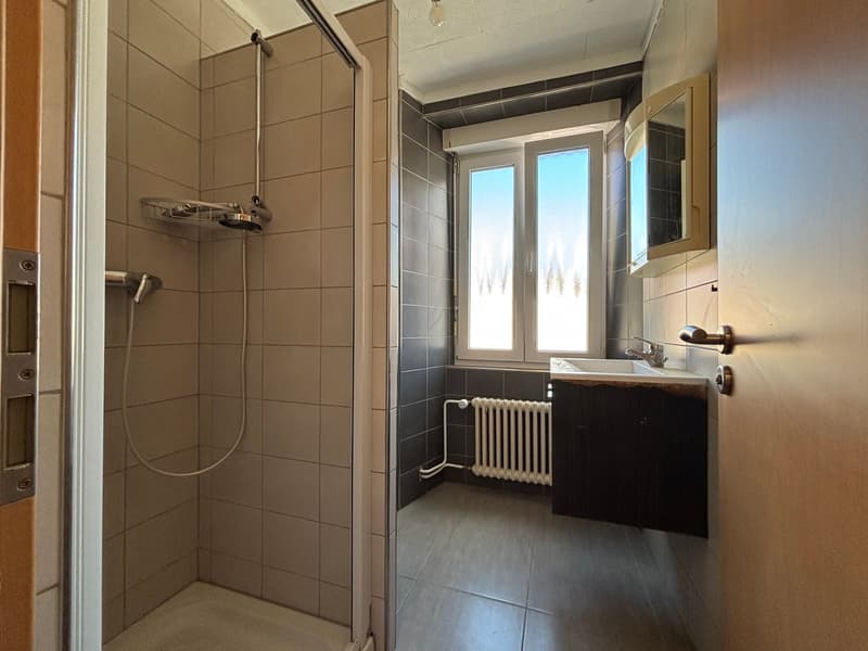 Appartement de 4 pièces à louer au Locle – Disponible immédiatement (21)