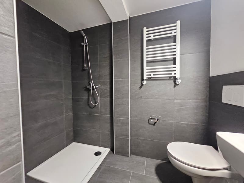 gray tiled walls, square white shower tray, handheld showerhead, white porcelain toilet, white sink, wall mounted radiator