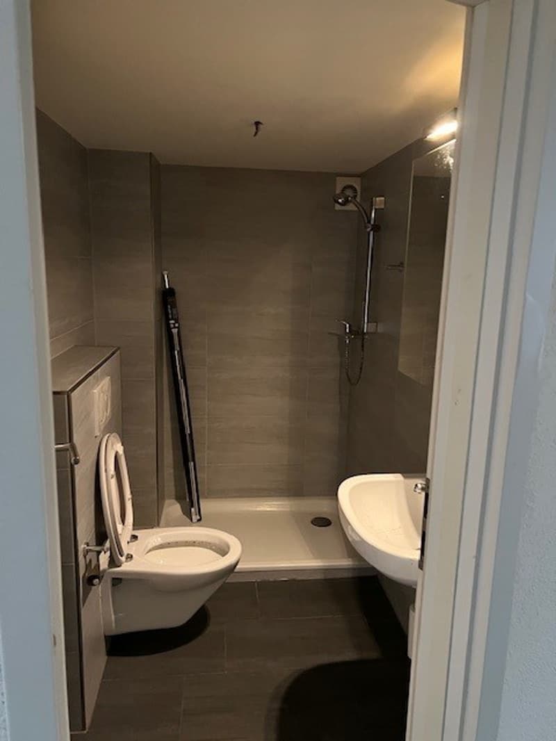 small bathroom with shower, toilet, sink, and a cabinet