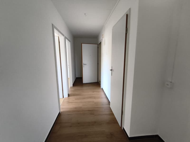 Appartement de 3 pièces lumineux dans un quartier calme de Frenkendorf (16)