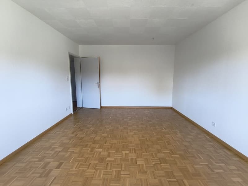 Appartement de 3 pièces lumineux dans un quartier calme de Frenkendorf (7)