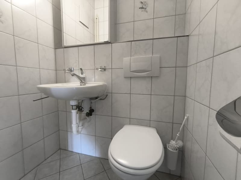 Appartement de 3 pièces lumineux dans un quartier calme de Frenkendorf (6)