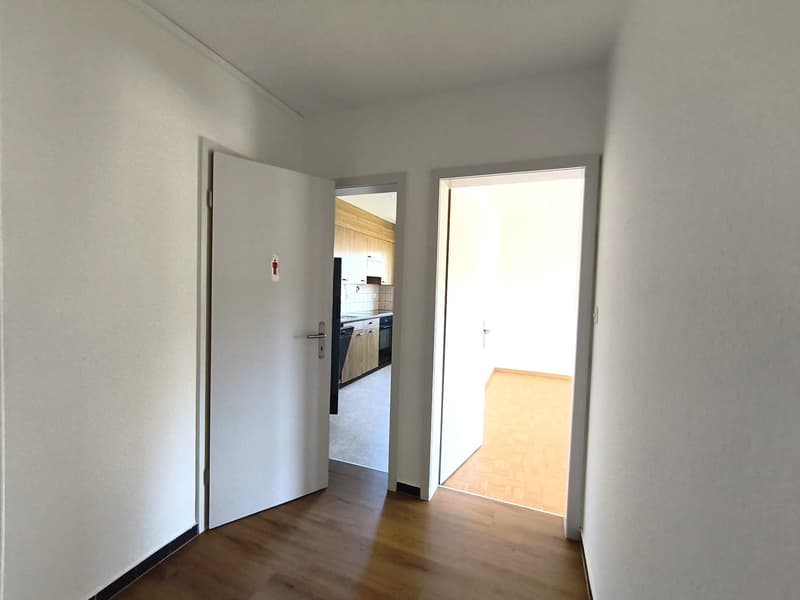 Appartement de 3 pièces lumineux dans un quartier calme de Frenkendorf (15)