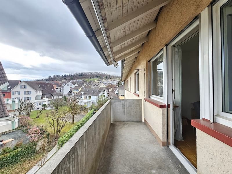 Appartement de 3 pièces lumineux dans un quartier calme de Frenkendorf (19)
