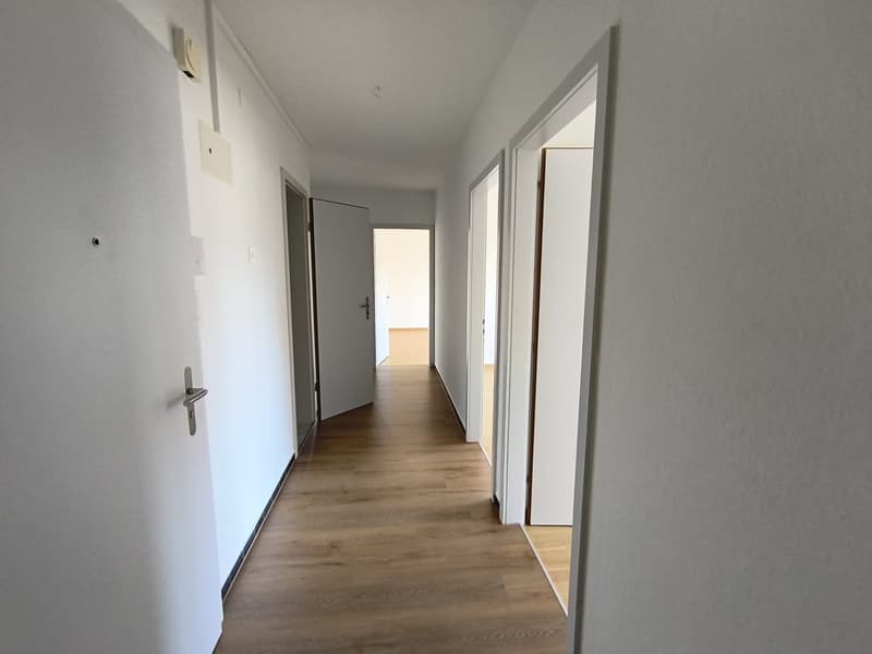 Appartement de 3 pièces lumineux dans un quartier calme de Frenkendorf (17)