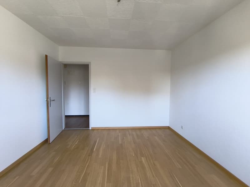 Appartement de 3 pièces lumineux dans un quartier calme de Frenkendorf (10)