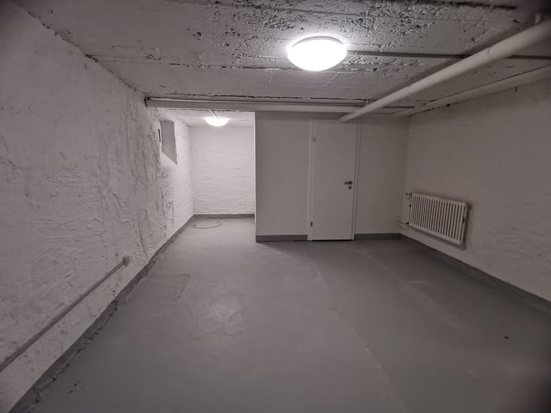 Ampio locale hobby in posizione centrale a Rorschach (8)