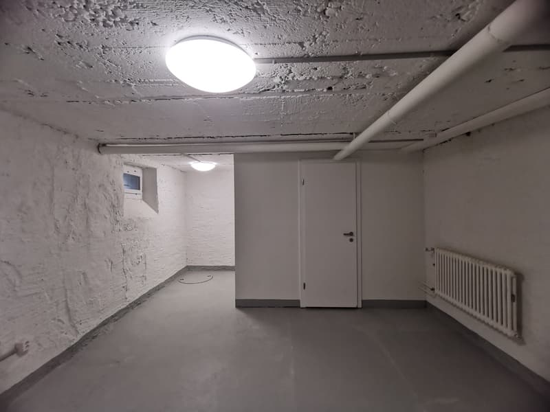 Ampio locale hobby in posizione centrale a Rorschach (3)