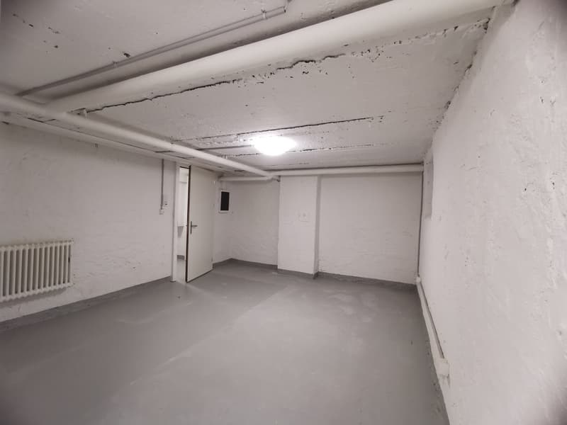 Ampio locale hobby in posizione centrale a Rorschach (4)