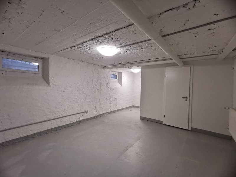 Ampio locale hobby in posizione centrale a Rorschach (2)