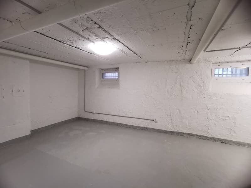 Ampio locale hobby in posizione centrale a Rorschach (7)