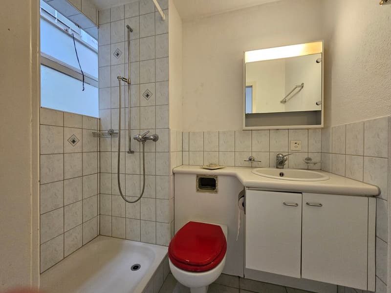 Bathroom with shower, bathtub, toilet, sink, mirror, and cabinets