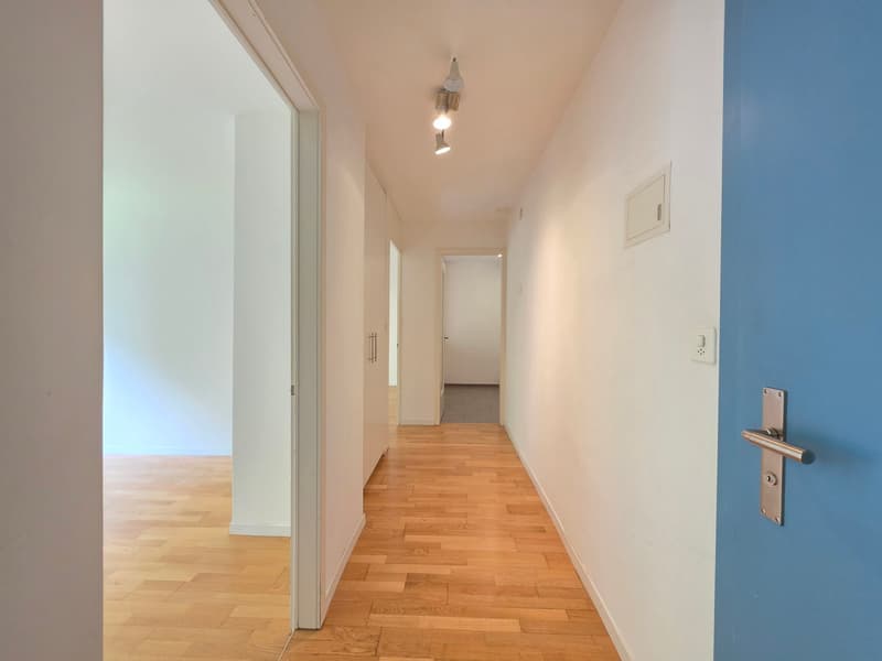 Delizioso appartamento di 3 camere disponibile immediatamente (13)