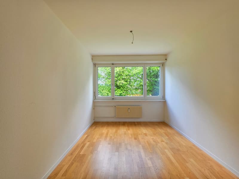 Delizioso appartamento di 3 camere disponibile immediatamente (11)