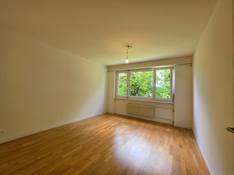 Delizioso appartamento di 3 camere disponibile immediatamente (9)