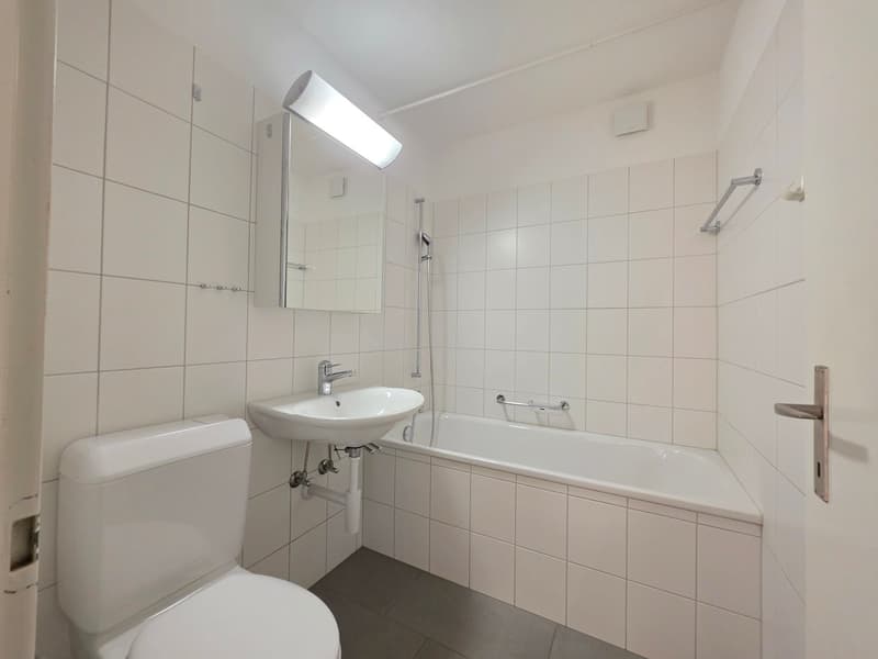 Delizioso appartamento di 3 camere disponibile immediatamente (6)