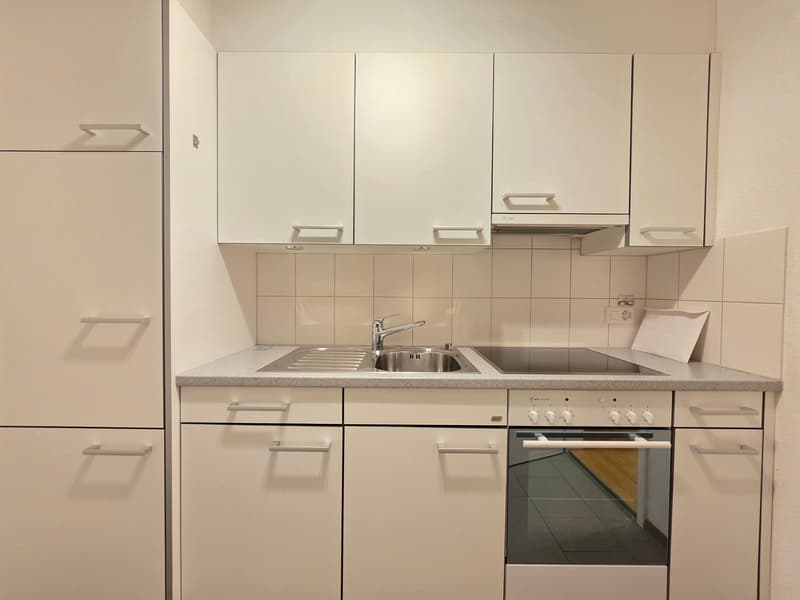 Delizioso appartamento di 3 camere disponibile immediatamente (3)